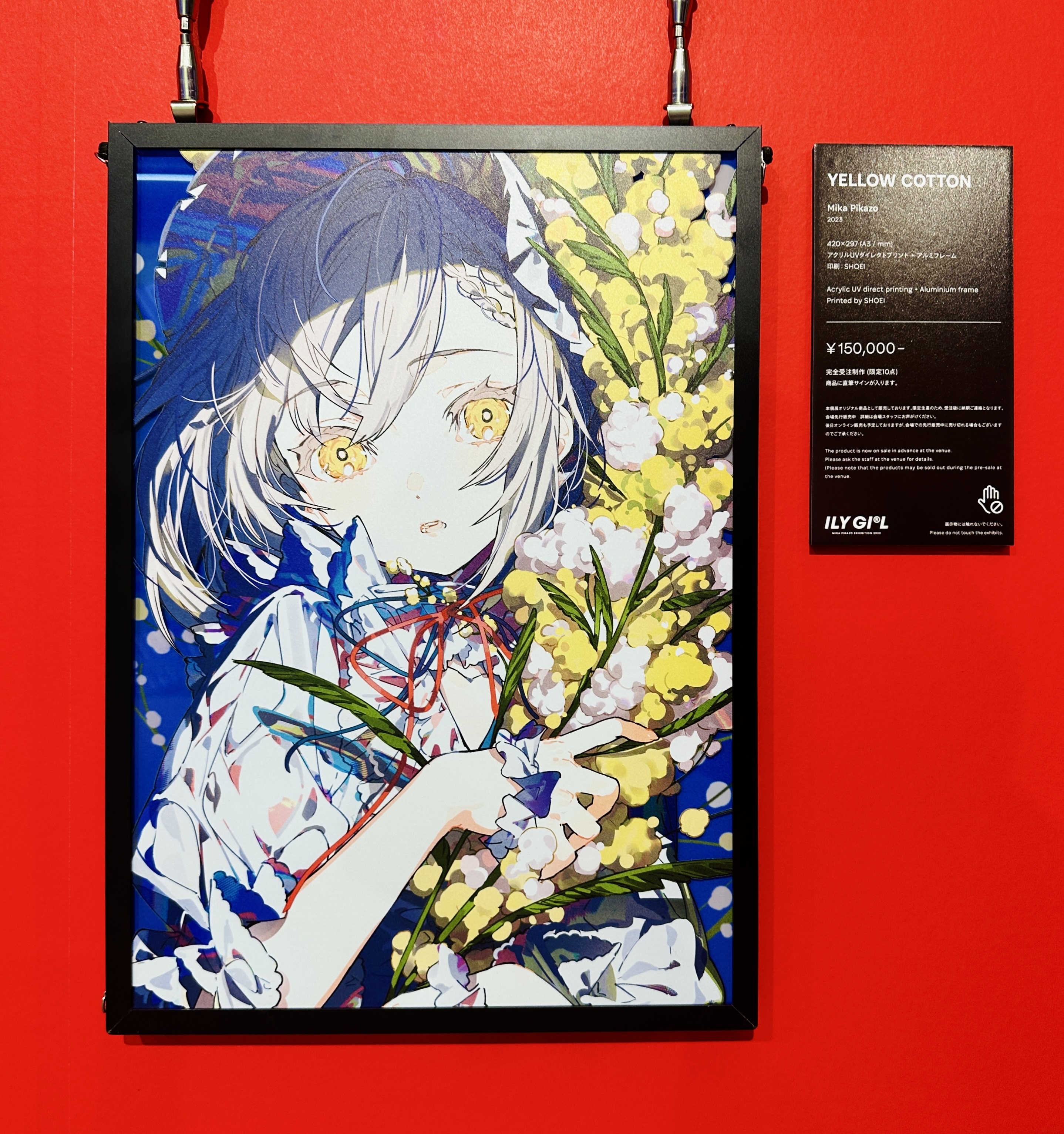 YELLOW COTTON 展示限定品(※直筆サイン入り) | きゃにめ